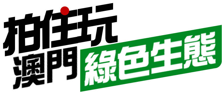 綠色生態 拍住玩 – 翻山涉水帶女神遊山玩水 - 拍住玩